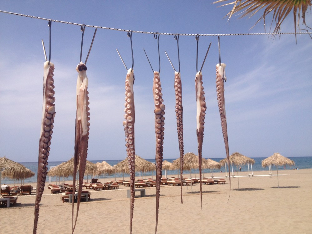 Octopus Drying On The Beach Rethymnon, Crete